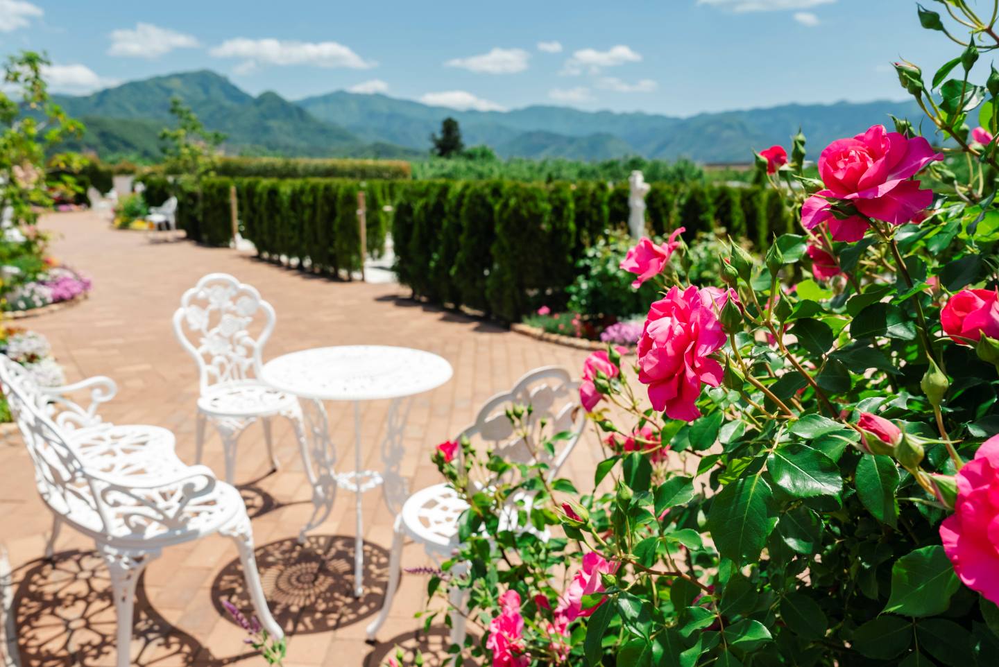 花と緑に囲まれたロイヤルガーデン長野