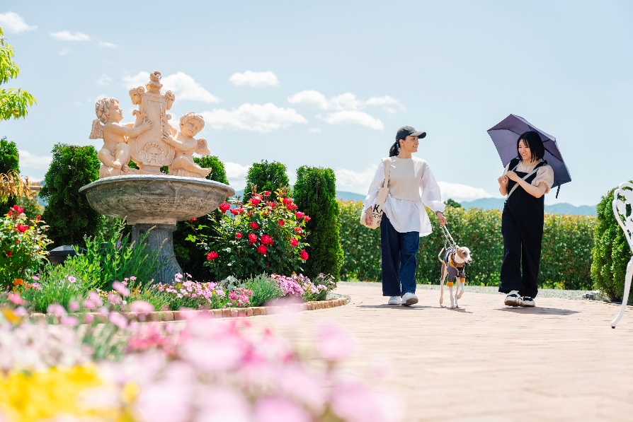 花と緑に囲まれたロイヤルガーデン長野の園内を愛犬と歩く来園者